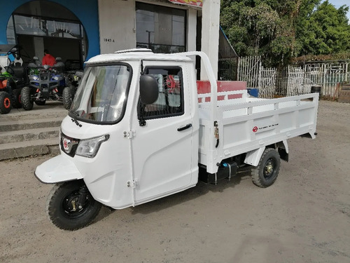 Imagen 1 de 7 de Motocarro Cabina Cerrada 300cc Sunl