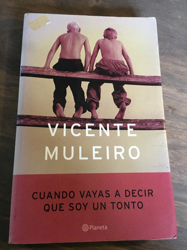 Libro Cuando Vayas A Decir Que Soy Un Tonto - Vicente Mulero