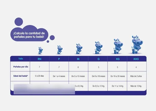 Babysec Cuidado Total Xg X 68 Unidades Tamaño Extra Grande (xg)