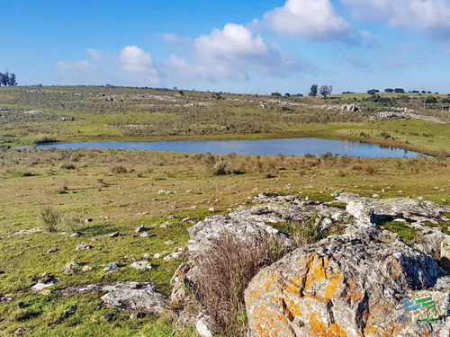 Vendo Chacras En Ruta 9, Entre Ruta 12 Y Pan De Azucar, Maldonado. Financio.