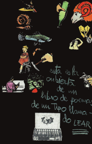 El Omnibus Sin Sentido, De Lear, Edwar. Editorial Visor Libros, S.l. En Español