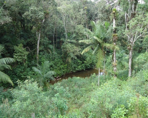 Imagem 9 de 13 de Sitio Em Juquitiba Sp; Sitio À Venda Juquitiba; - 251 - 32982557