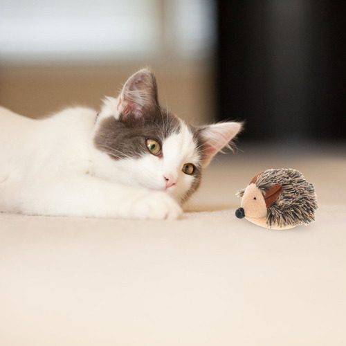 Juguetes De Peluche Para Gatos, 5 Unidades, Educativos Vibra