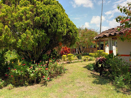 Imagen 23 de 30 de Venta De Finca En Pereira Vereda Combia .