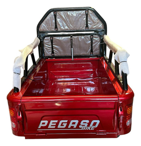 Triciclo Pegaso Atlas 1.1 Torito Pequeño Multiuso Nuevos