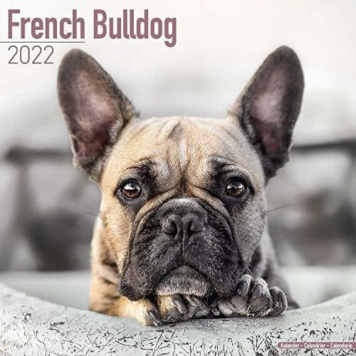 French Bulldog Calendar - Dog Breed Calendars - 2021