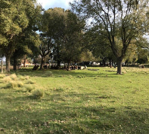 7 Hectareas Y Media En Batan Ideal Emprendimiento De Viviendas