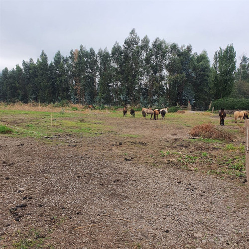 Excelente Terreno En Sector Roma San Fernando