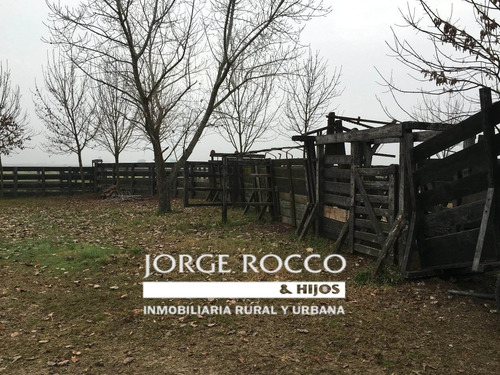 Imagen 20 de 21 de 390 Has. Campo Ganadero A Tranquera Cerrada
