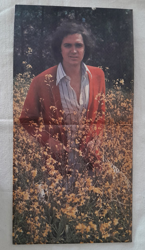 Disco Vinilo Camilo Sesto Rasgos Edición 1977 (Usado)