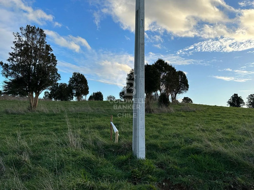 Parcelas Agrícolas En Maullín, Luz Y Agua, Acceso