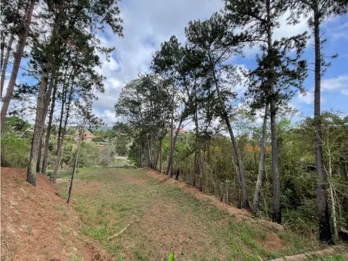 Terreno En La Lagunita