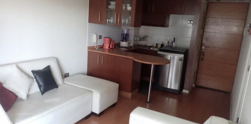 Acogedor Departamento Con Amplia Terraza, Ñuñoa