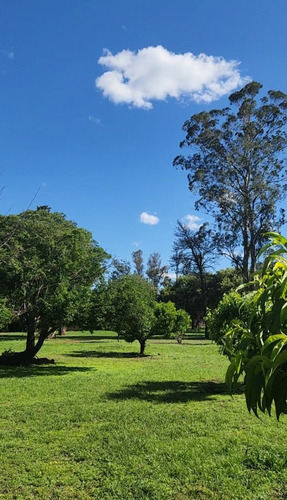 Venta 7 Hectareas Con Costa De Arroyo Casco De Estancia
