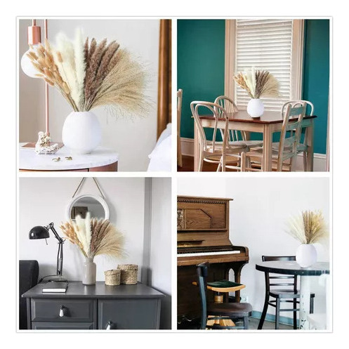 Decoración Seca Natural Capim Dos Pampas Plumas Con