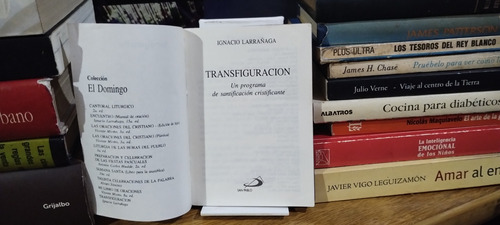 Transfiguracion - Ignacio Larrañaga