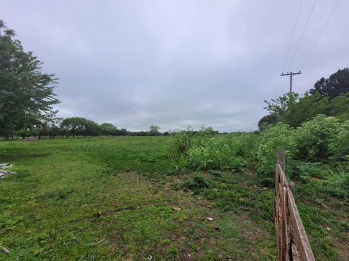 Terreno En Venta En Barrio Parque Altos El Ombu, Exaltación De La Cruz, Los Cardales, Gba Norte