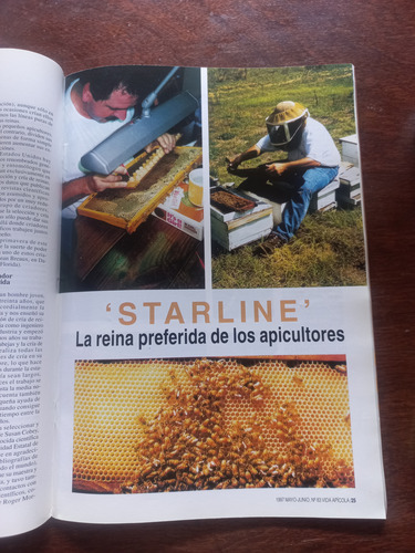 Revista Española De Apicultura Vida Apicola Año 1997 #fa (Usado)