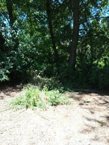 Venta De Parcela 10000mt2 De Terreno La Placeta-lo Beño