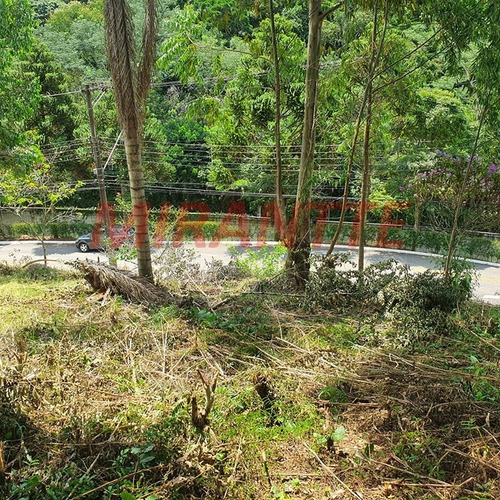 Imagem 5 de 8 de Terreno Em Serra Da Cantareira - São Paulo, Sp - 353703