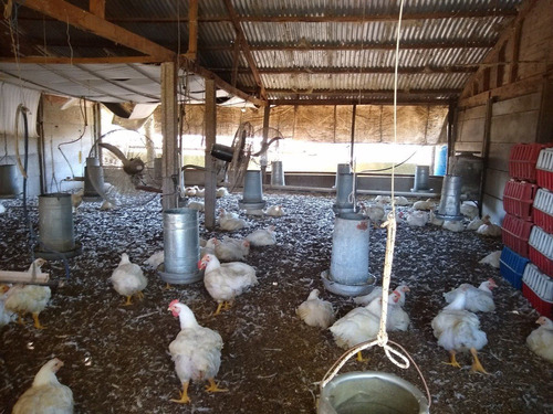 Imagen 30 de 30 de Latorre Prop Vende Campo De 34 Hectareas En Cobo