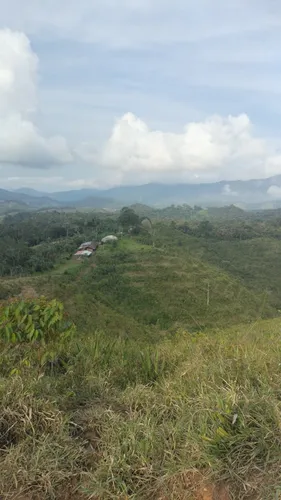 Vendo Finca