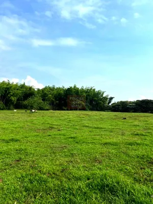 Lote y casalote en venta