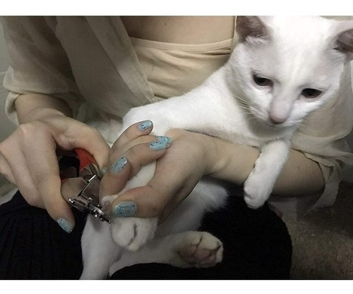 Imagen 6 de 9 de Corta Uñas Mascotas Perro Gato Tipo Guillotina Alicate Lima
