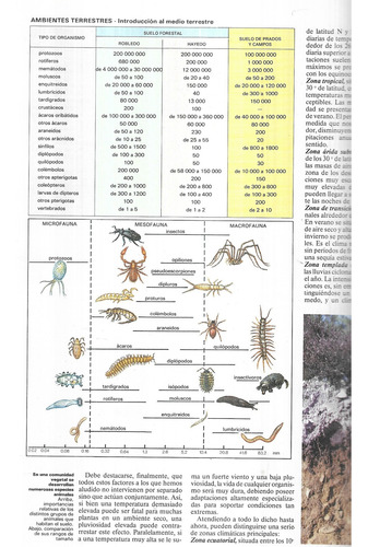 Enciclopedia De Las Ciencias Naturales Ecología 2 (Usado)