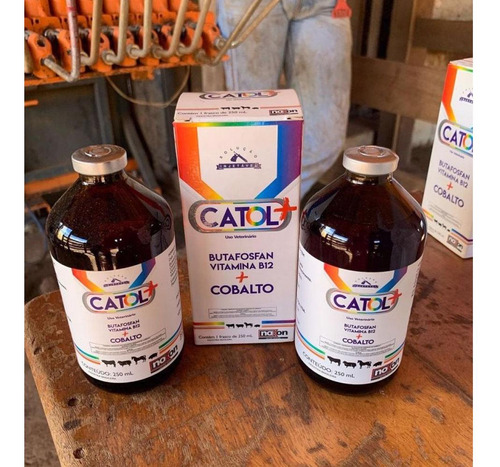 5 Uni Catol+ Vitamina B12 250ml - Noxon