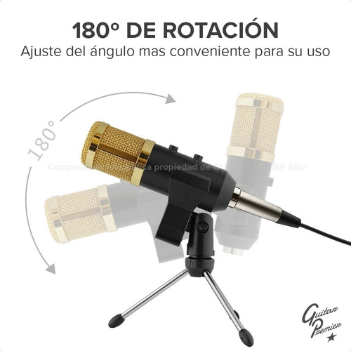 Imagen 3 de 10 de Kit Grabacion Radio Microfono Condenser Echo Interfase Mixer