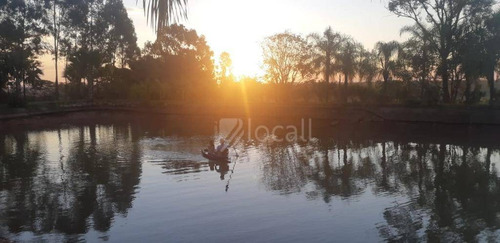 Imagem 6 de 7 de Salão, 1200 M² - Venda Por R$ 7.350.000 Ou Aluguel Por R$ 25.000/mês - Zona Rural - São José Do Rio Preto/são Paulo - Sl0405
