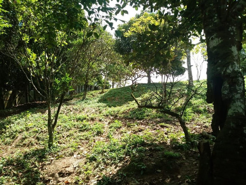 Imagem 17 de 24 de Casa À Venda, 2 Quartos, 8 Vagas, Batistini - São Bernardo Do Campo/sp - 47785
