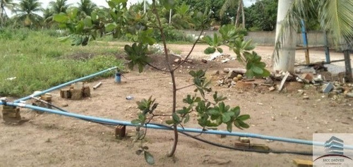 Imagem 8 de 13 de Chácara A Venda Ceara Mirim