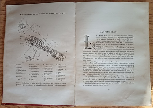 Pájaros Sudamericanos Gollan Lopez + El Canario Garau Salvá (Usado)