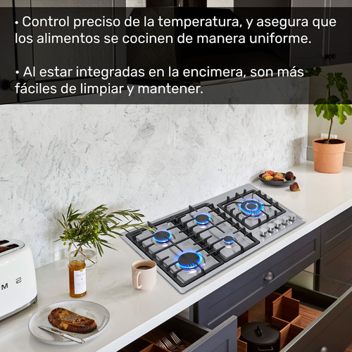 Parrilla Estufa Con Alimentación A Gas 5 Quemadores Gutstark Plata/negro