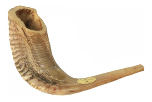 Imagem 2 de 8 de Shofar Chifre De Carneiro De Tocar - 34 A 37 Cm - De Israel