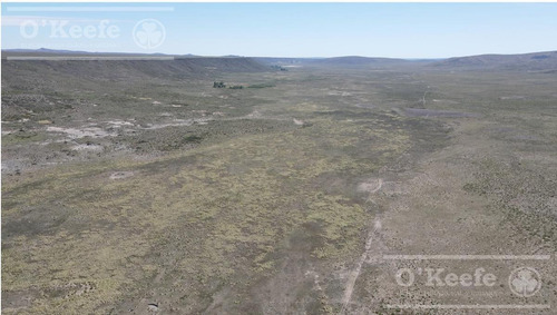 Imagen 10 de 28 de 8.805 Has En Neuquen Venta / Alquiler, Con 18 Km De Costa Del Embalse Piedra Del Águila.