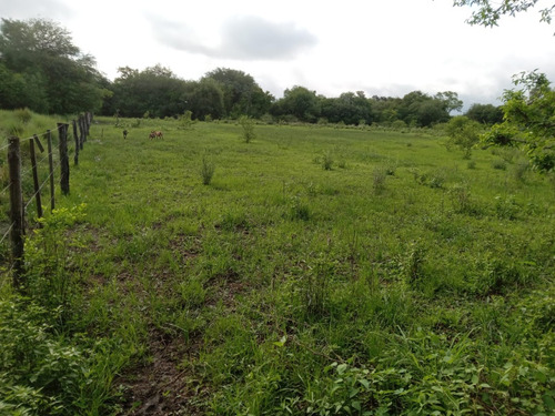 Campo Sobre Ruta