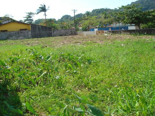 Imagem 3 de 4 de Terreno Residencial À Venda, Balneário Praia Do Pernambuco, Guarujá - Te0135. - Te0135