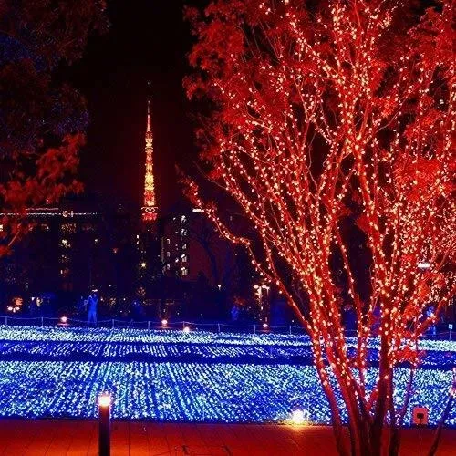 Luces De Hadas Rojas Compatibles Con Er Chen