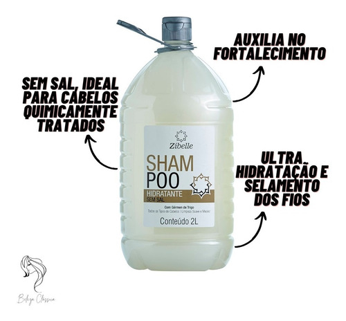 Kit Shampoo Sem Sal + Condi Erva Doce 2l Brilho Intenso