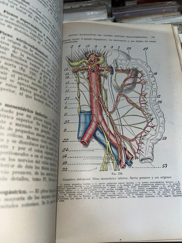 Anatomía Humana 1,2,3 Y 4 (Usado)