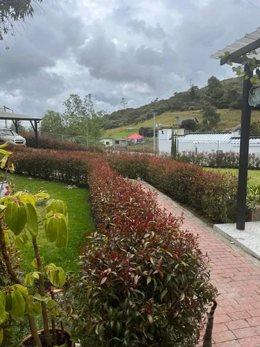 Casa En Venta En La Calera. Cod V1065028
