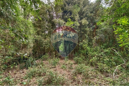 Gran Terreno 5.5 Ha Cercano Al Pueblo De Mafil