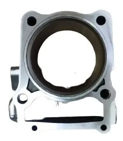 Cilindro Para Moto Hj 300 At