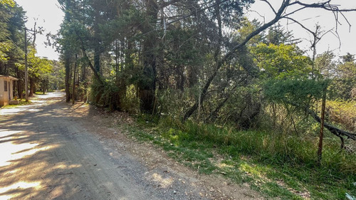 Terreno Habitacional En Venta En San Mateo Tlaltenango, Cuaj