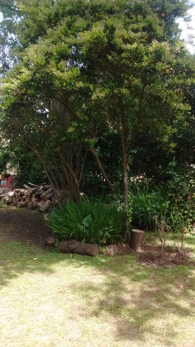 Casa Quinta A Reciclar