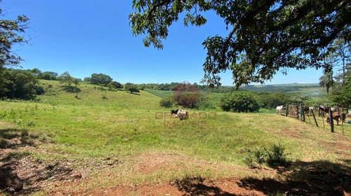 Imagem 9 de 10 de Excelente Área De 16 Alqueires, Com Potencial Valorização Em Região De Grande Desenvolvimento, Próximo Ao Tecnoparque De Maringá. - Si0003