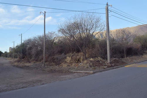 Imagen 13 de 21 de Terreno - Nuevo Merlo